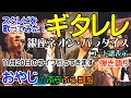 【ギタレレ】スタレビ☆ライブ当たりました!銀座ネオン・パラダイス歌ってみた!