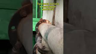 Челябинск: крыша дырявая, стены рушатся, трубы текут, антисанитария улица Карпенко, 10А!