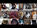 all my fursuits (heads and partials) throughout the years 2013-2021