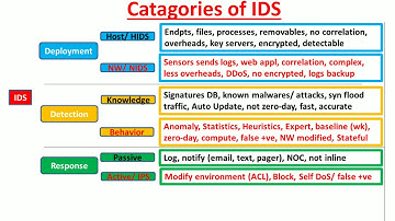 Types of Intrusion Detection Systems (IDS)
