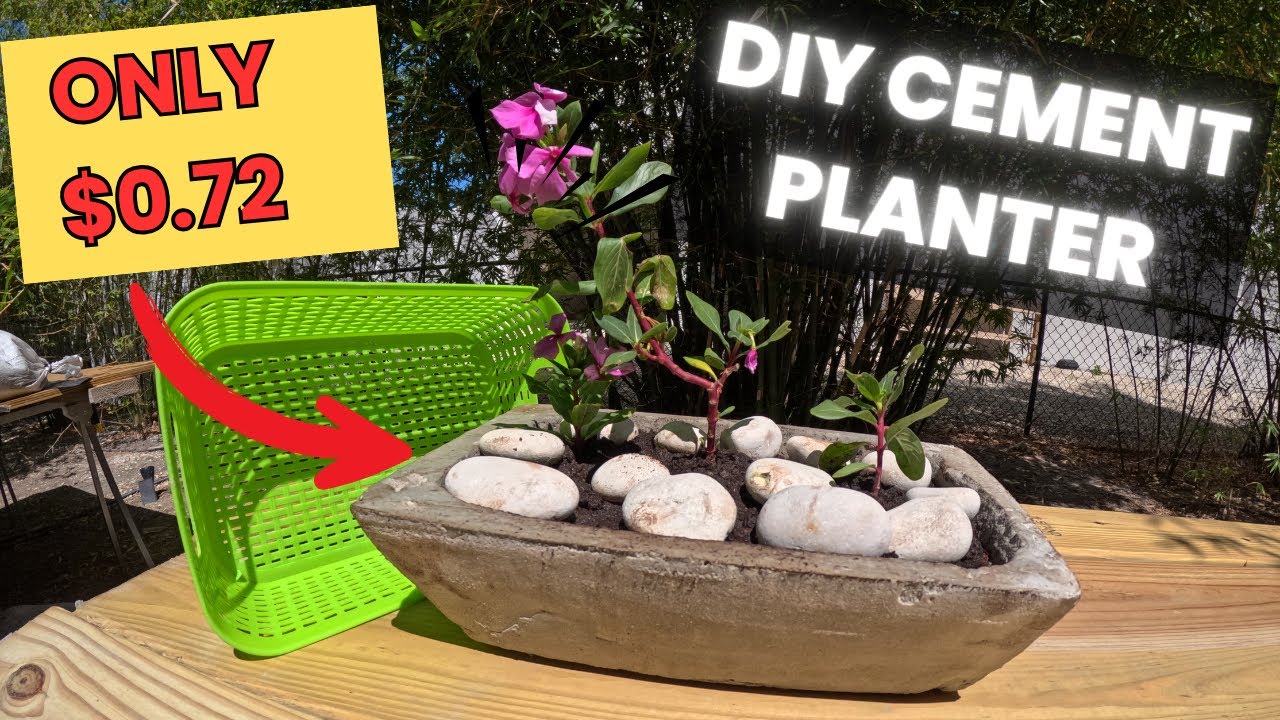 How to Make a DIY Cement Planter | Easy Step-by-Step Tutorial - YouTube