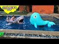 Shark vs Giant Blue Whale | Skyheart Water Battle animals shark toys for kids