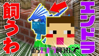 【マイクラ】新おらエンドラ飼うわ #1　エンダードラゴンの卵が孵った【マインクラフト実況】