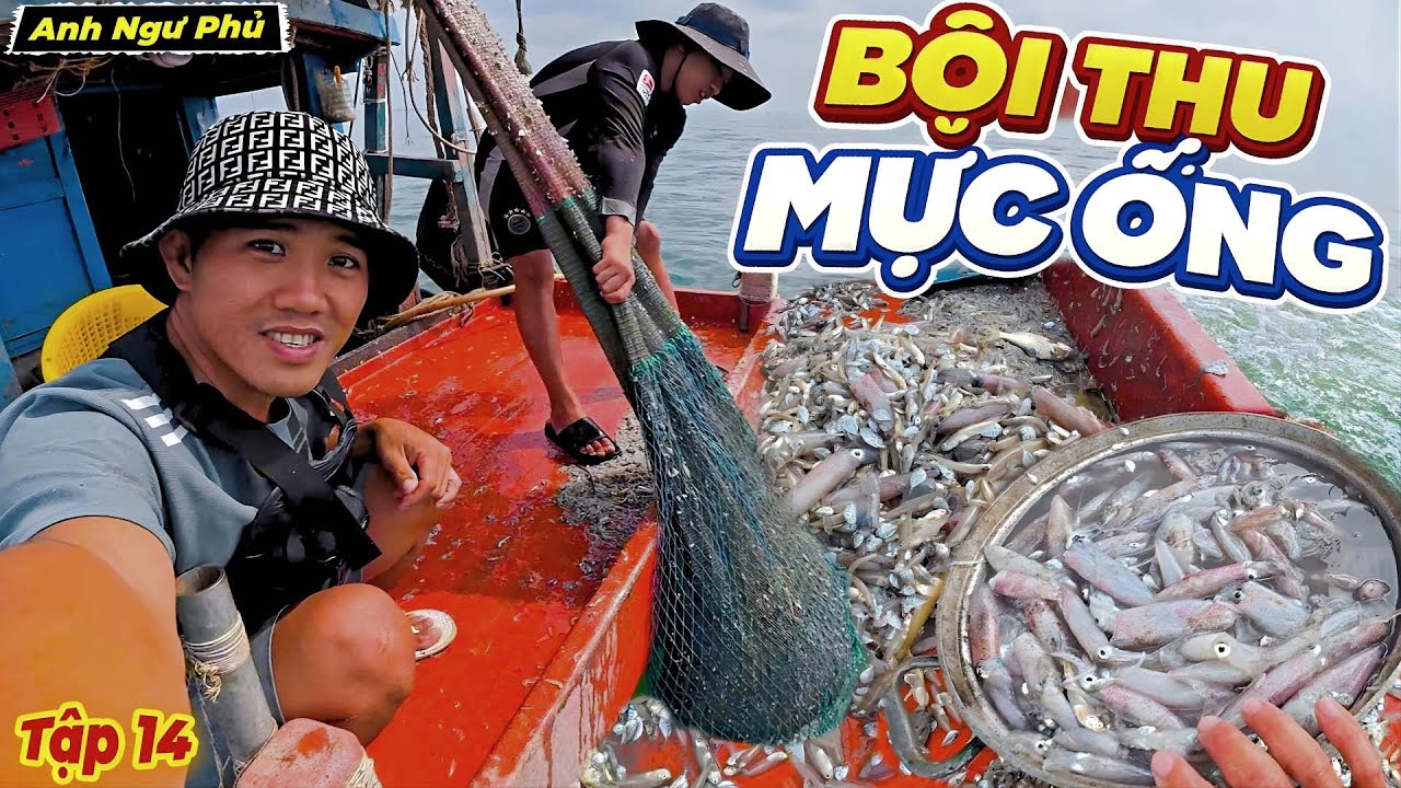 Bội Thu Mực Ống • Cuộc Sống Trên Biển Tập 14 | Anh Ngư Phủ