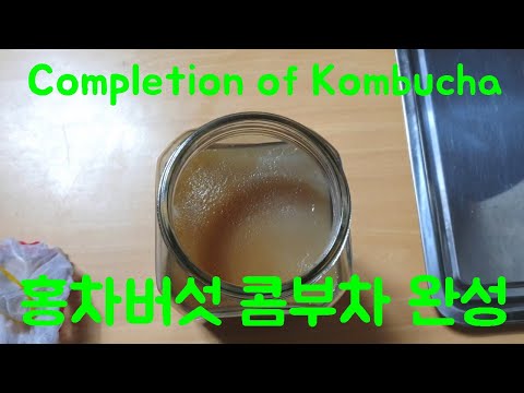 홍차버섯 콤부차 완성 Completion of Kombucha