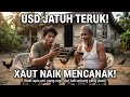 USD jatuh teruk…Emas pula naik mencanak! 😳📉📈 Buat apa cari yang rugi, cari lah untung yang pasti.