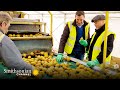 view This Farm Helps Make 2 Million Potato Chip Packets A Day 🥔 Inside the Factory | Smithsonian Channel digital asset number 1