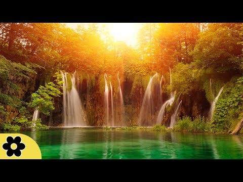 Relaxing Zen Music, Positive Energy Music, Relaxing Music, Slow Music, ✿3133C