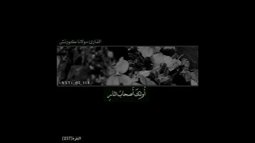 ||آيات جميلة من القرآن|| ما شاء الله صوته.💛🔥