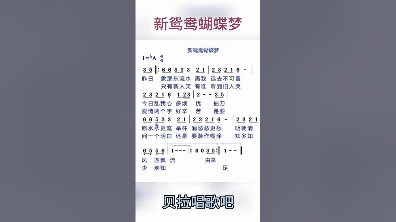 新鸳鸯蝴蝶梦，男声领唱乐谱，全曲教唱请点击左下角的“创建自#经典歌曲