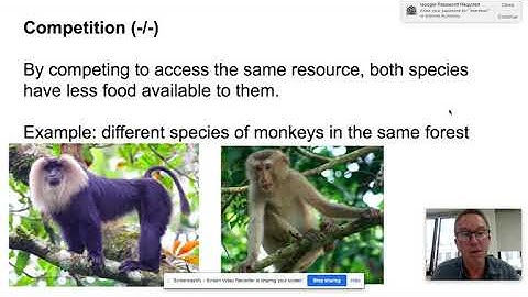 Niches, Resource Partitioning, and interactions between species