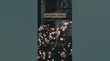 ﴿ أَمَّن يُجِيبُ الْمُضْطَرَّ إِذَا دَعَاهُ ﴾ | احمد النفيس - سورة "النمل" ﴿ ٦٢ ﴾