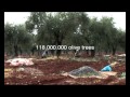 Good Practices, Good Environment, Good Olive Oil (part 1).avi