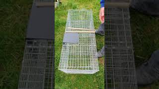 Larsen traps, updated, how to use.