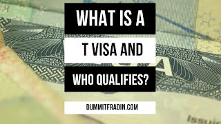 What is a T Visa and who Qualifies?