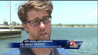 Heavy rains can often impact water quality levels in Lake Pontchartrain