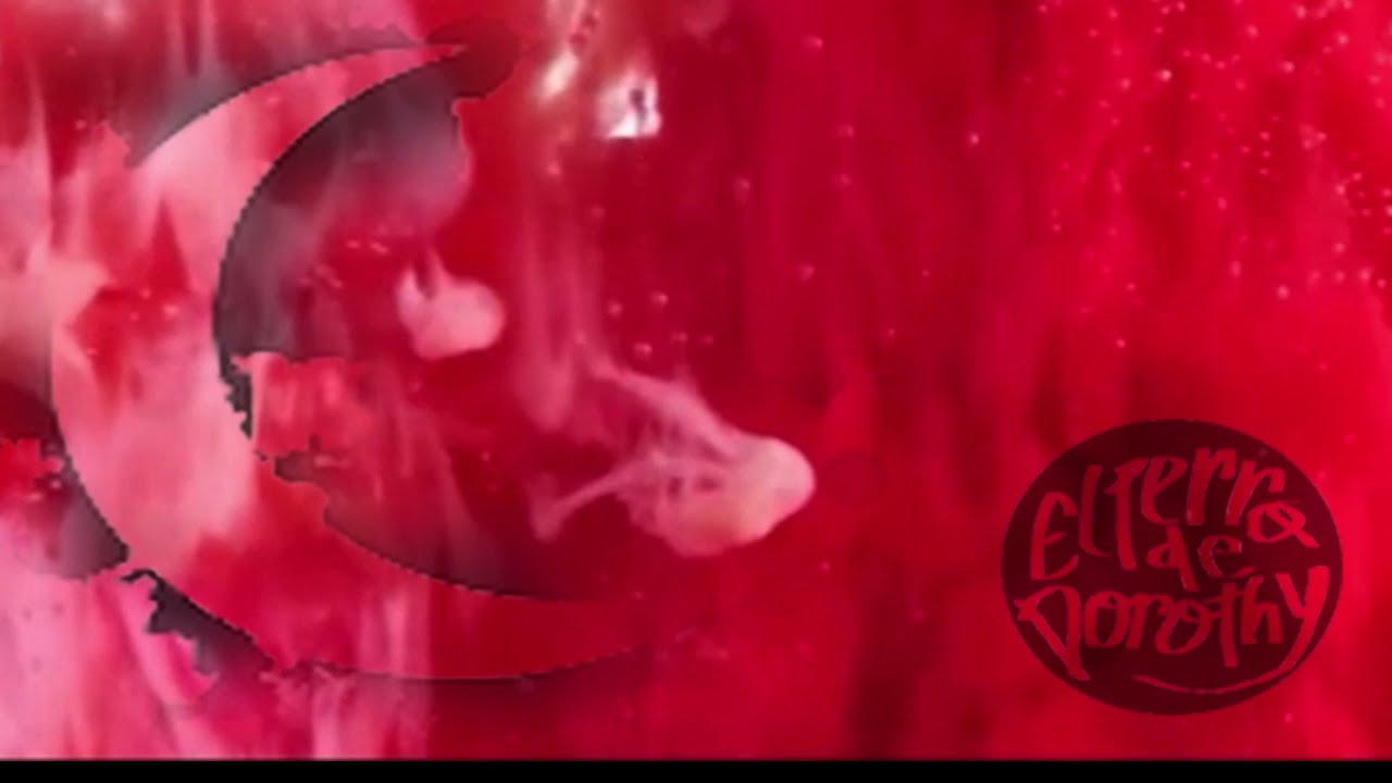 Por una Noche Más El perro de Dorothy YouTube