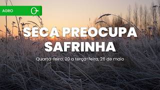 🌽 Previsão do tempo: geada preocupa milho safrinha e seca avança no interior