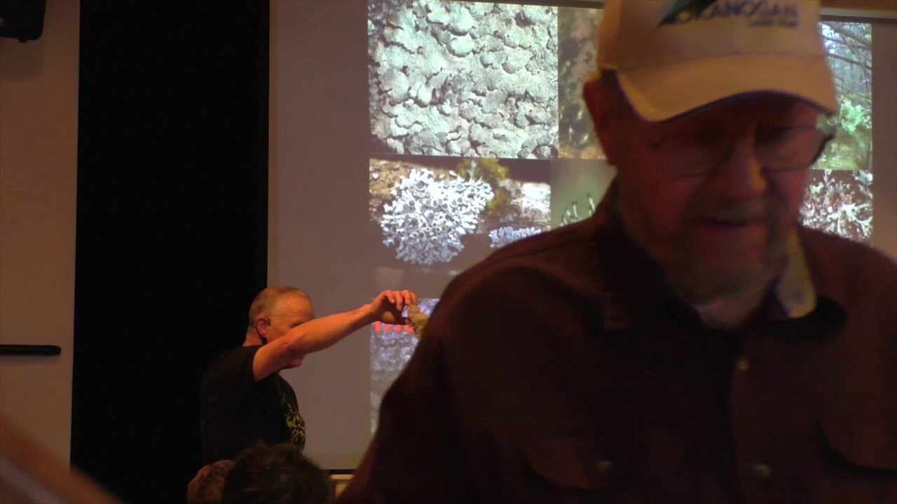 Lichen Part2 - What are Lichens?