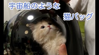 【Soda君】リュックに猫を入れたらかわいすぎた【ペット宇宙船キャリー】