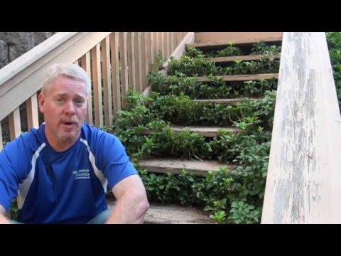 Water Garden Pond Installation Renovation Project from Hillsborough, NJ
