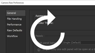 How to Reset Camera Raw Preferences From Adobe Bridge screenshot 5