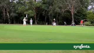 Subdue Maxx Fungicide | Solutions Pest & Lawn