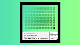 DJ Wady & Patrick M - No Time For Hulk (Camelphat Re Fix) (Erik Hagleton 2018 Vocal Edit)