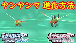 ヤンヤンマ メガヤンマ 特殊進化方法 攻略 ポケモン ダイパリメイク ポケモン ブリリアントダイヤモンド シャイニングパール Youtube