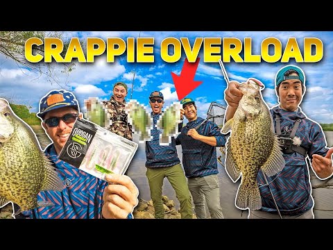 1v1v1 CATCH and COOK Crappie FISHING CHALLENGE! ( NEW PERSONAL