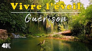 Musique Douce | Bruit de l'eau et chant des Oiseaux | Relaxation Méditation  | Anti-stress, dormir screenshot 4