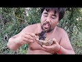 Primitive Technology - find  bird  - take Fried  eating delicious