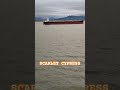MV SCARLET CYPRESS #shipspotting #seamanhood