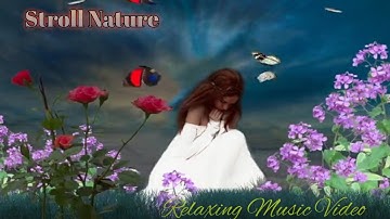 Flowers field women walk stroll//Relaxing Nature Music Video 2023.