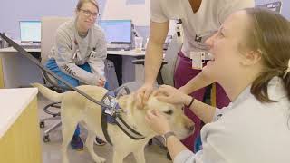 Butterfly Paws Providing Care Support through Canines