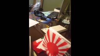 Mini flag collection