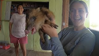 The People of the Amazon River... and Their Pets!🇵🇪