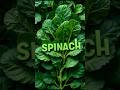 Why Spinach Is One Of The Healthiest Foods
