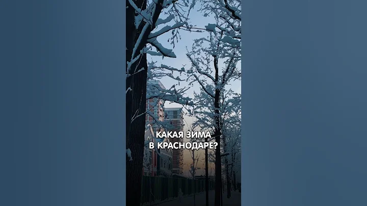 Погода зимой в Краснодаре.