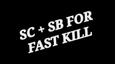 PALLADIN RAGNAROK MOBILE, SC + SB  FOR FAST GRINDING AND LEVELING