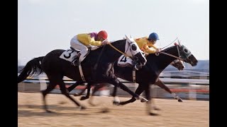 中央競馬年鑑　1975　年度代表馬　カブラヤオー
