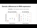 Webinar #3 – Intro to expression eQTL & their role in connecting QTL to genes and molecular networks