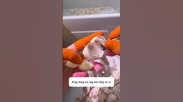 Mẹo bóc vỏ tỏi nè #food #reviewdoanvat #cooking