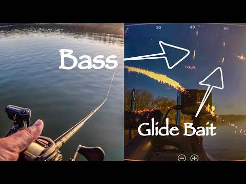 Bass Fishing in Action: Lowrance ActiveTarget Highlights