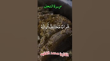القارئ محمد الفقيه #اكسبلور #قران_كريم #تيك_توك #ارح_قلبك