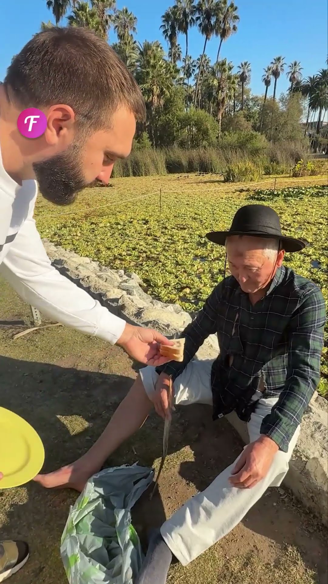 A Family Picnic Turns Into a Heartwarming Act of Kindness #shorts