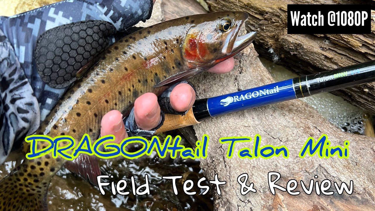 DRAGONtail Talon Mini  Field Test & Review #tenkara 