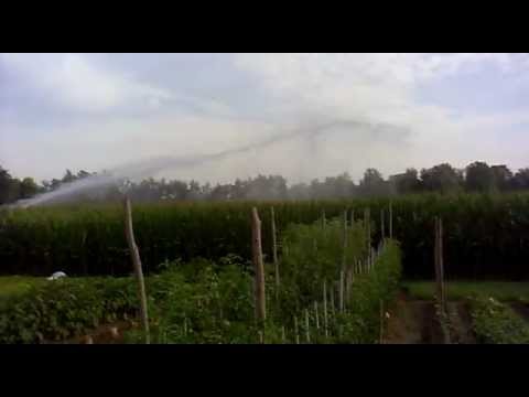 Video: Irrigazione Autunnale A Carica D'acqua