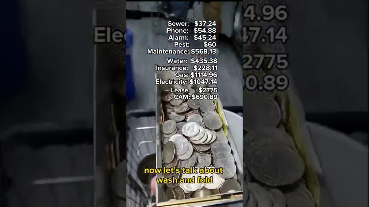 How Much Does My Laundromat Make Profit Loss 