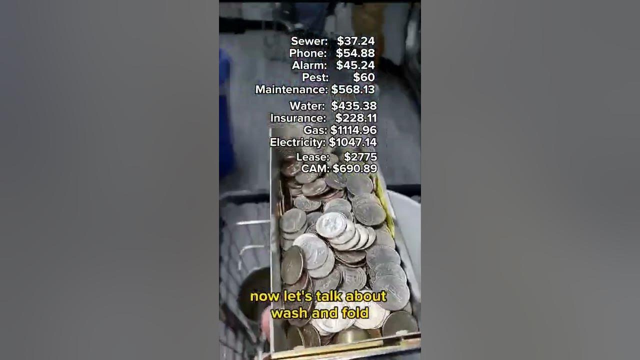 How much $$ does my laundromat make? (Profit & Loss)